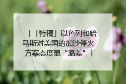 「特稿」以色列和哈马斯对美国的加沙停火方案态度显“温差”