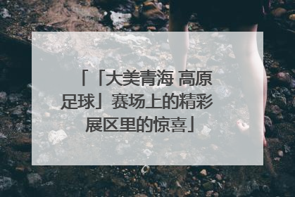 「大美青海 高原足球」赛场上的精彩 展区里的惊喜