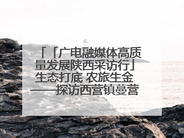 「广电融媒体高质量发展陕西采访行」生态打底 农旅生金——探访西营镇蔓营村省级旅游示范村的振兴密码
