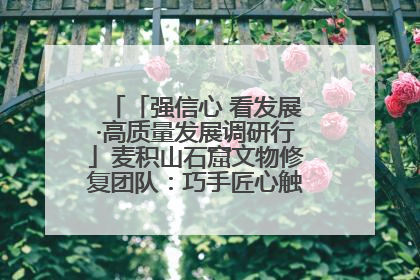 「强信心 看发展·高质量发展调研行」麦积山石窟文物修复团队：巧手匠心触摸“光阴的故事”