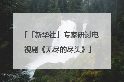 「新华社」专家研讨电视剧《无尽的尽头》