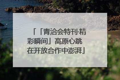 「青洽会特刊·精彩瞬间」高原心跳 在开放合作中澎湃