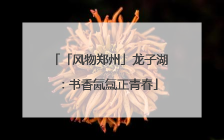 「风物郑州」龙子湖：书香氤氲正青春