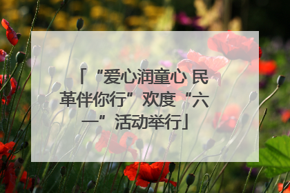 “爱心润童心 民革伴你行”欢度“六一”活动举行