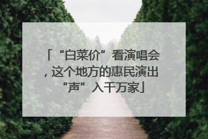 “白菜价”看演唱会，这个地方的惠民演出“声”入千万家