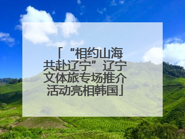 “相约山海 共赴辽宁”辽宁文体旅专场推介活动亮相韩国