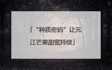 “种质密码”让元江芒果甜蜜持续