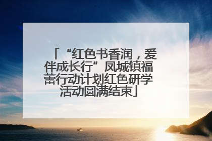 “红色书香润，爱伴成长行”凤城镇福蕾行动计划红色研学活动圆满结束