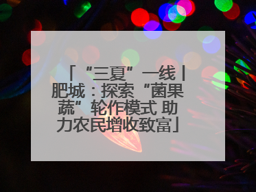“三夏”一线丨肥城：探索“菌果蔬”轮作模式 助力农民增收致富