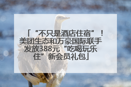 “不只是酒店住宿”！美团生态和万豪国际联手发放388元“吃喝玩乐住”新会员礼包