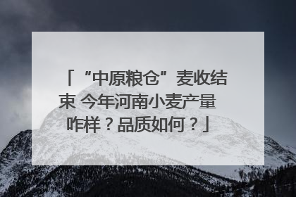 “中原粮仓”麦收结束 今年河南小麦产量咋样？品质如何？