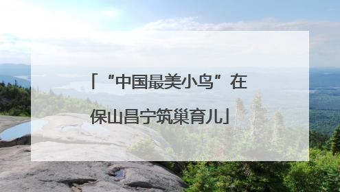 “中国最美小鸟”在保山昌宁筑巢育儿
