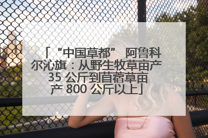 “中国草都” 阿鲁科尔沁旗：从野生牧草亩产 35 公斤到苜蓿草亩产 800 公斤以上