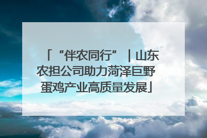 “伴农同行”｜山东农担公司助力菏泽巨野蛋鸡产业高质量发展