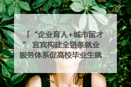 “企业育人+城市留才” 宜宾构建全链条就业服务体系促高校毕业生就业｜您牵挂的四川