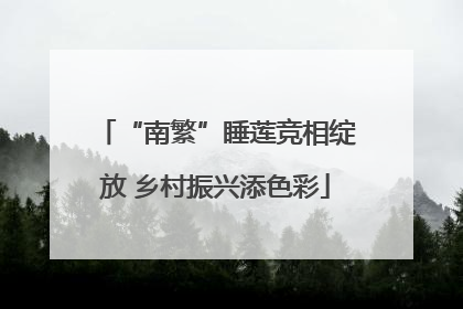 “南繁”睡莲竞相绽放 乡村振兴添色彩