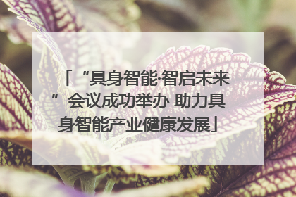“具身智能·智启未来”会议成功举办 助力具身智能产业健康发展