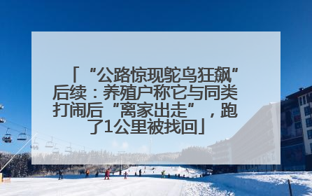 “公路惊现鸵鸟狂飙”后续：养殖户称它与同类打闹后“离家出走”，跑了1公里被找回