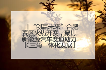 “创赢未来”合肥赛区火热开赛，聚焦新能源汽车赛道助力长三角一体化发展