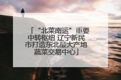 “北菜南运”重要中转枢纽 辽宁新民市打造东北最大产地蔬菜交易中心
