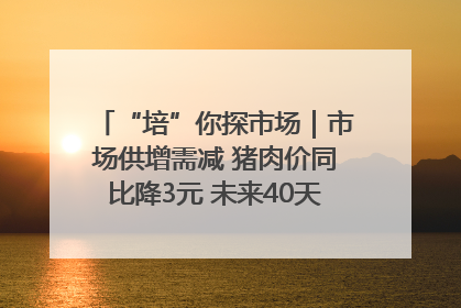 “培”你探市场｜市场供增需减 猪肉价同比降3元 未来40天便宜猪肉敞开吃