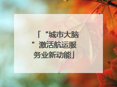 “城市大脑”激活航运服务业新动能