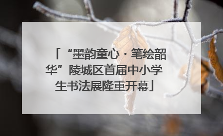 “墨韵童心・笔绘韶华”陵城区首届中小学生书法展隆重开幕