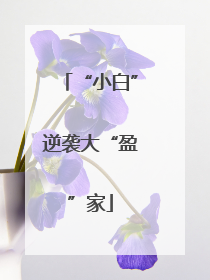 “小白”逆袭大“盈”家