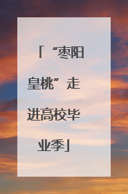 “枣阳皇桃”走进高校毕业季