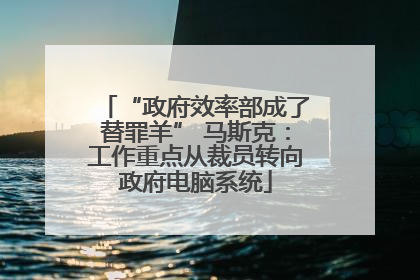 “政府效率部成了替罪羊” 马斯克：工作重点从裁员转向政府电脑系统