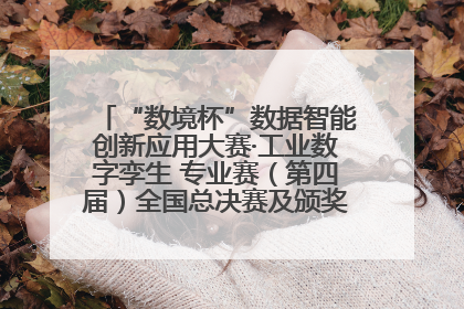 “数境杯”数据智能创新应用大赛·工业数字孪生 专业赛（第四届）全国总决赛及颁奖典礼成功举办