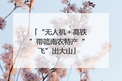 “无人机＋高铁”带赣南农特产“飞”出大山