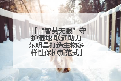“智慧天眼”守护湿地 联通助力东明县打造生物多样性保护新范式