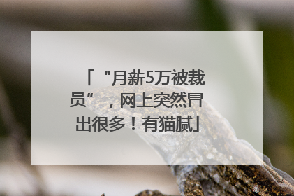 “月薪5万被裁员”，网上突然冒出很多！有猫腻
