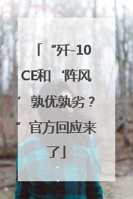 “歼-10CE和‘阵风’孰优孰劣？”官方回应来了