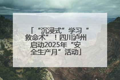 “沉浸式”学习“救命术”！四川泸州启动2025年“安全生产月”活动