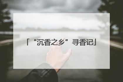 “沉香之乡”寻香记