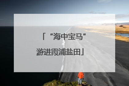 “海中宝马”游进霞浦盐田