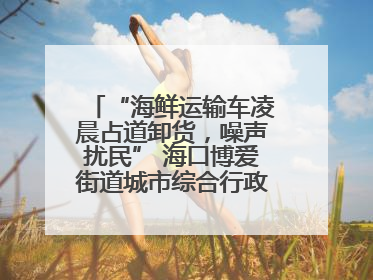 “海鲜运输车凌晨占道卸货，噪声扰民” 海口博爱街道城市综合行政执法中队：将联合交警加强长堤路一带巡逻