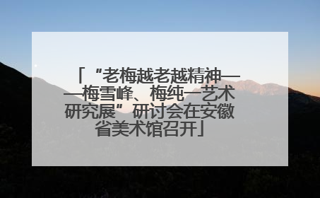 “老梅越老越精神——梅雪峰、梅纯一艺术研究展”研讨会在安徽省美术馆召开