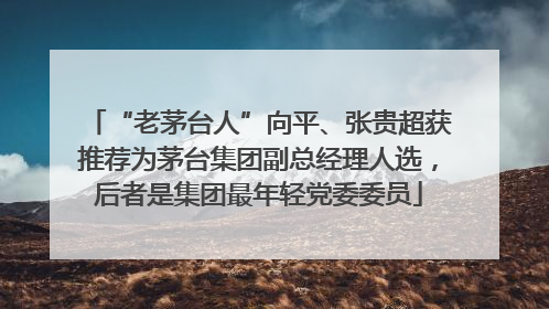 “老茅台人”向平、张贵超获推荐为茅台集团副总经理人选，后者是集团最年轻党委委员