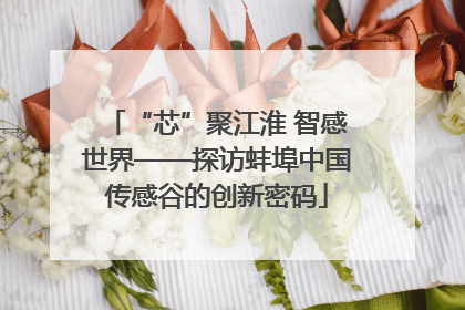 “芯”聚江淮 智感世界——探访蚌埠中国传感谷的创新密码