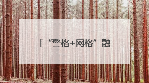 “警格+网格”融合发力，流动人口管理服务提质增效