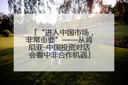 “进入中国市场，非常重要”——从肯尼亚-中国投资对话会看中非合作机遇