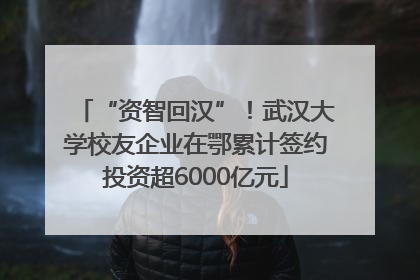 “资智回汉”！武汉大学校友企业在鄂累计签约投资超6000亿元
