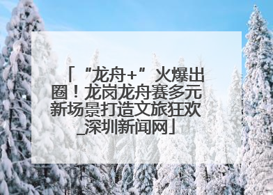 “龙舟+”火爆出圈！龙岗龙舟赛多元新场景打造文旅狂欢_深圳新闻网