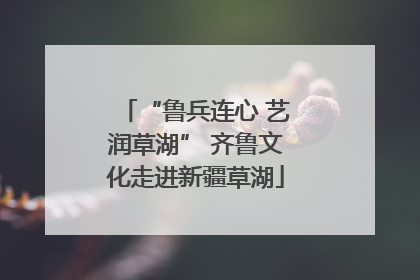 “鲁兵连心 艺润草湖” 齐鲁文化走进新疆草湖