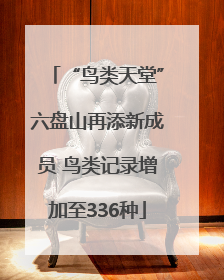 “鸟类天堂”六盘山再添新成员 鸟类记录增加至336种
