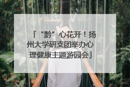 “黔”心花开！扬州大学研支团举办心理健康主题游园会