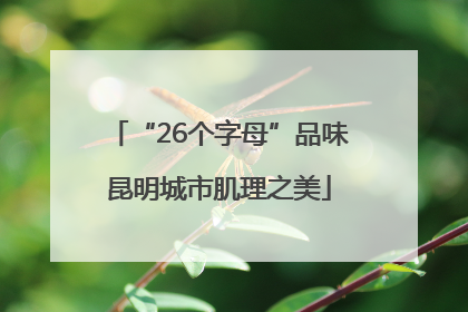 “26个字母”品味昆明城市肌理之美